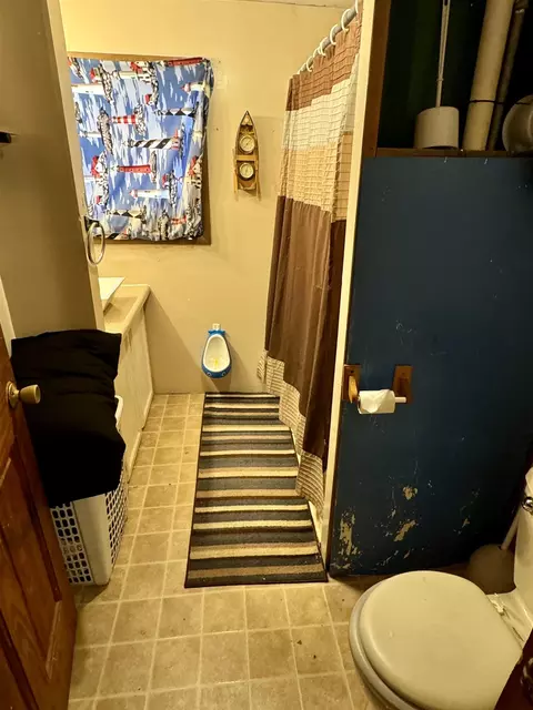 Bath - 205 Pine St, Omer, MI 48749 photo 1 of 2