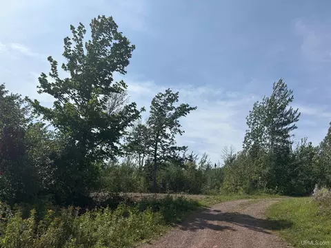 tbd Palms, Bessemer, MI 49911
