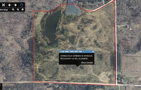 tbd Mcgilvery Lk, Gladwin, MI 48624 photo 13