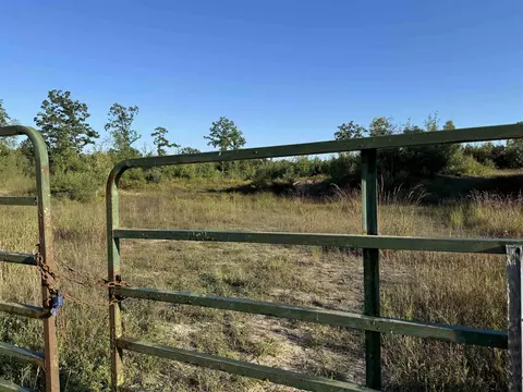 tbd Mcgilvery Lk, Gladwin, MI 48624 photo 3