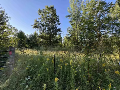 tbd Mcgilvery Lk, Gladwin, MI 48624 photo 6