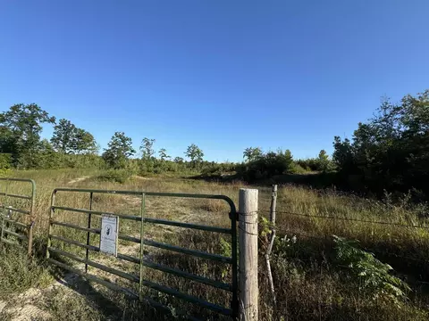 tbd Mcgilvery Lk, Gladwin, MI 48624 photo 2