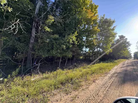 tbd Mcgilvery Lk, Gladwin, MI 48624 photo 9