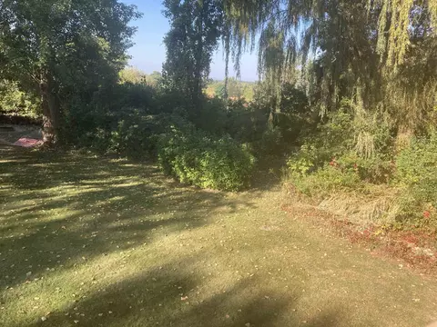 Exterior - 3811 Buzzell, Gladwin, MI 48624 photo 14 of 35