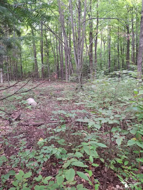 1881 Woodland Trl, Barton City, MI 48705