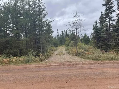 80 Acres County Road Fx, Champion, MI 49814