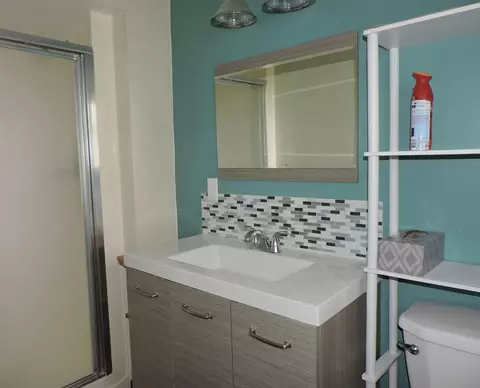 Bath - 1504 E Newberg, Pinconning, MI 48650 photo 1 of 5