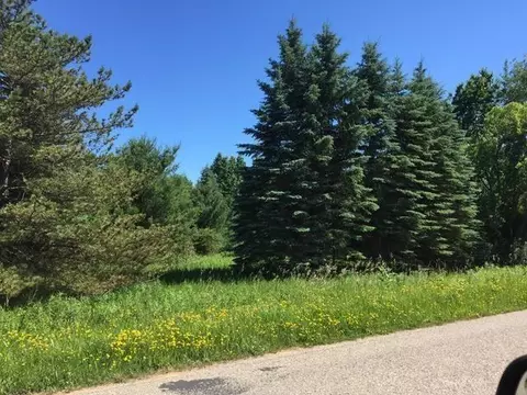 248 Winchester #LOT 248 WINCHER WAY, Gladwin, MI 48624