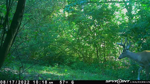 6188 Green, Meridian, MI 48840 photo 11
