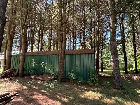 Exterior - 998 Dutcher, Gladwin, MI 48624 photo 28 of 32