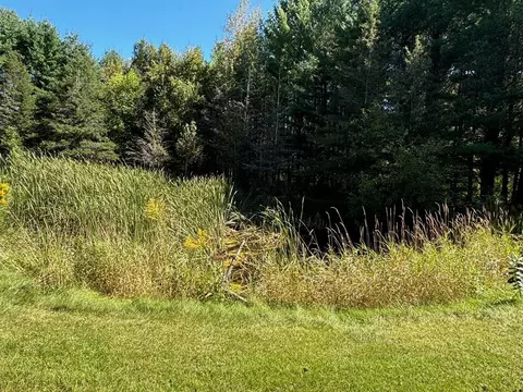 Exterior - 998 Dutcher, Gladwin, MI 48624 photo 17 of 32