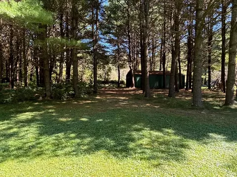 Exterior - 998 Dutcher, Gladwin, MI 48624 photo 10 of 32