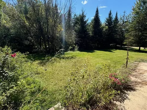 Exterior - 998 Dutcher, Gladwin, MI 48624 photo 19 of 32