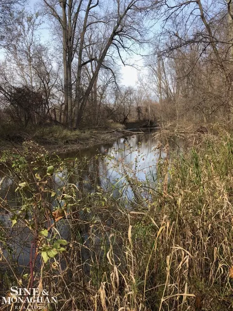 V/l Adair, Casco, MI 48064 photo 3