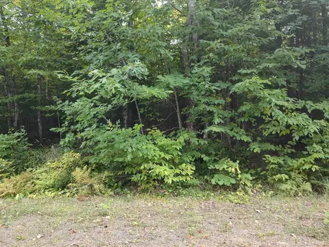 21836 Petticoat Lk, Michigamme, MI 49861