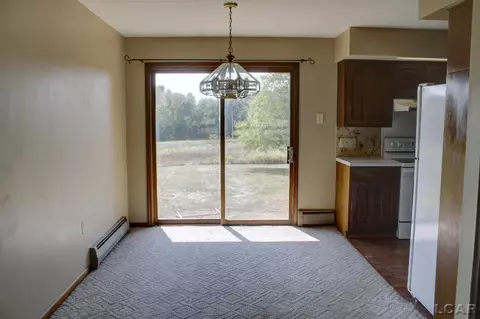 2799 E Munger, Tecumseh, MI 49286 photo 4
