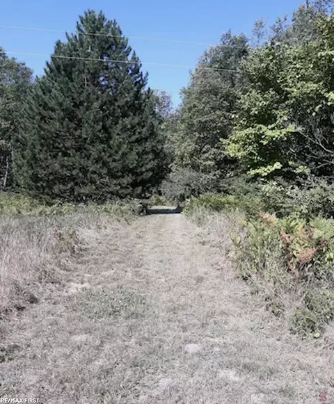 lot13 Fournier, Beaverton, MI 48612