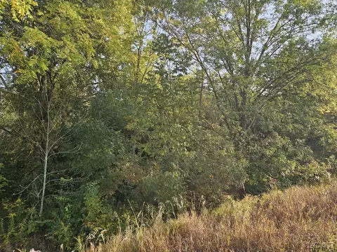 9990 E Channel, Hudson, MI 49247 photo 5