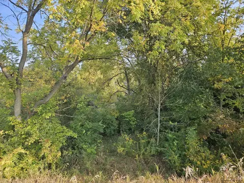9990 E Channel, Hudson, MI 49247 photo 4