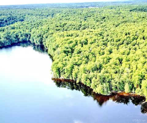 lot8 Petticoat Lk, Michigamme, MI 49862