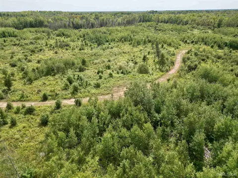 tbd Off St Nicholas Rd South 40, Rock, MI 49880