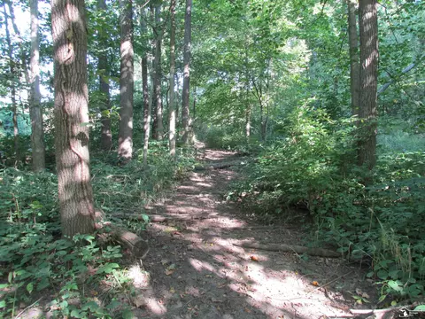Other - 9659 Townsend, Maybee, MI 48159 photo 24 of 35