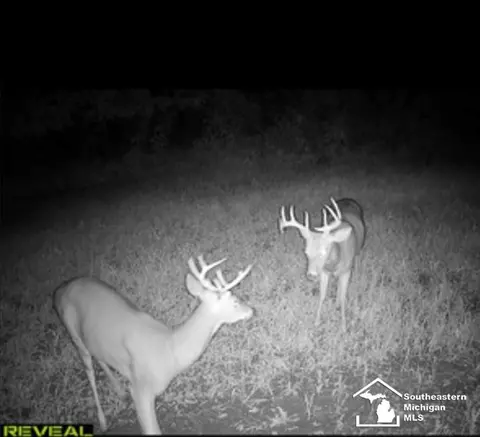 Other - 9659 Townsend, Maybee, MI 48159 photo 28 of 35