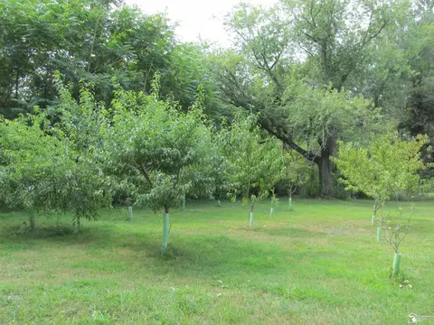 Exterior - 9659 Townsend, Maybee, MI 48159 photo 10 of 24