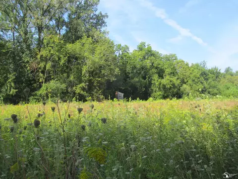 Other - 9659 Townsend, Maybee, MI 48159 photo 26 of 35