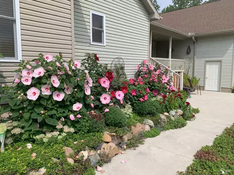 Exterior - 9659 Townsend, Maybee, MI 48159 photo 12 of 24