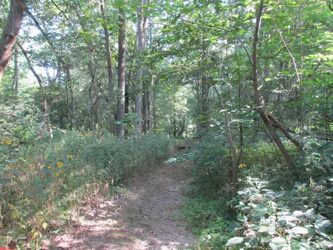 Other - 9659 Townsend, Maybee, MI 48159 photo 27 of 35