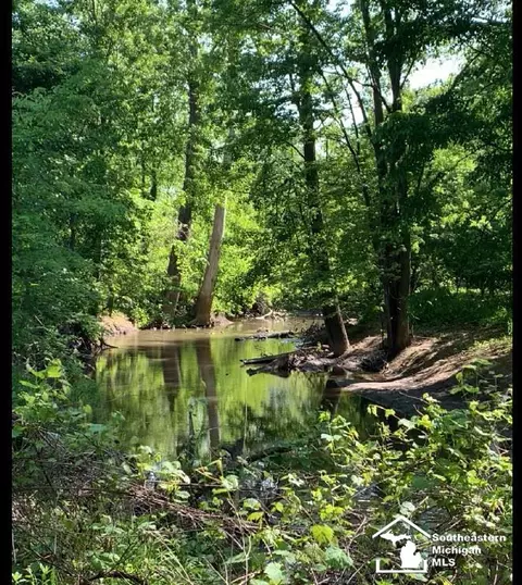 View/Area - 9659 Townsend, Maybee, MI 48159 photo 3 of 8