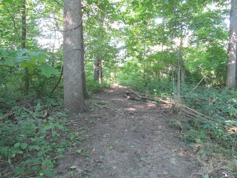 Other - 9659 Townsend, Maybee, MI 48159 photo 23 of 35