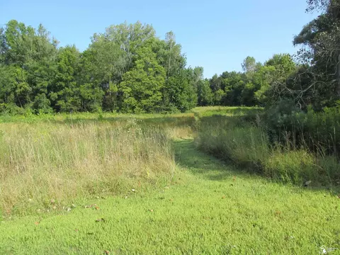 Other - 9659 Townsend, Maybee, MI 48159 photo 25 of 35