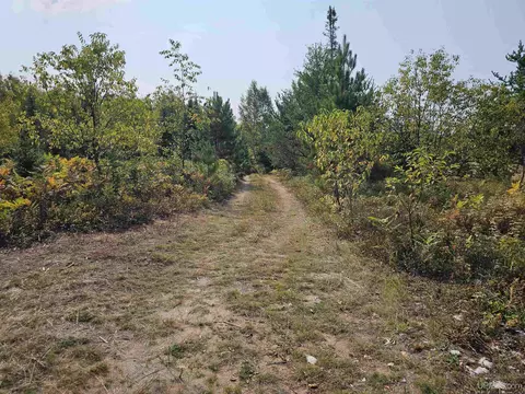 tbd Willet, Republic, MI 49879