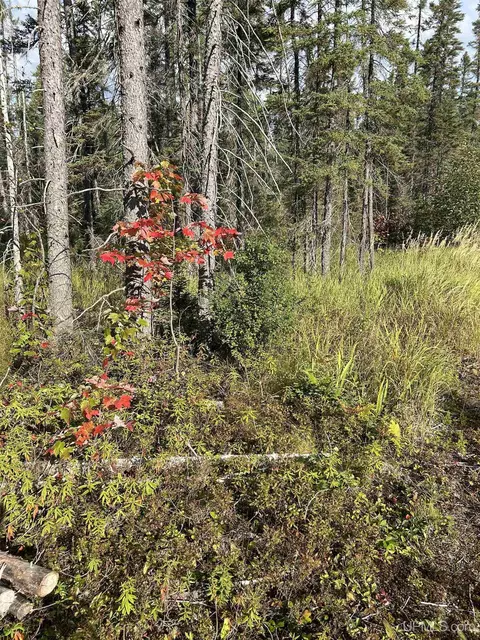 200 Acres Cr 573, Ishpeming, MI 49849 photo 15