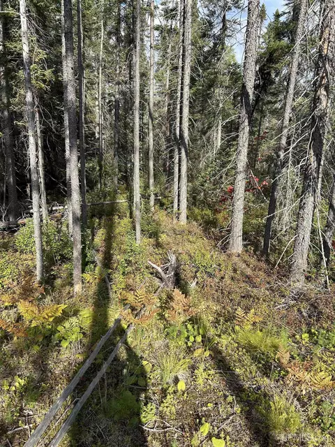 200 Acres Cr 573, Ishpeming, MI 49849 photo 7
