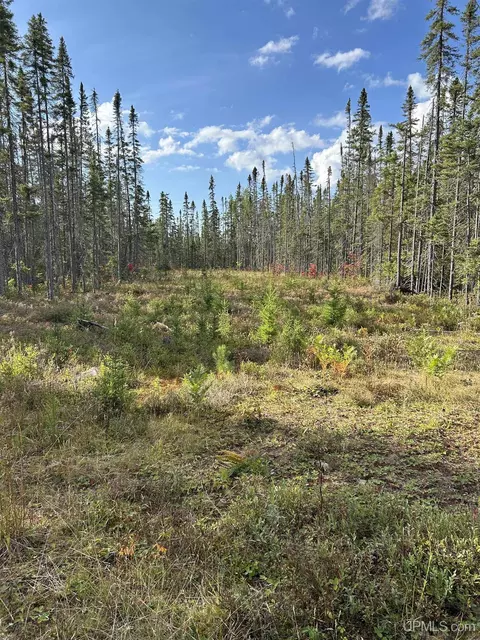 200 Acres Cr 573, Ishpeming, MI 49849 photo 5