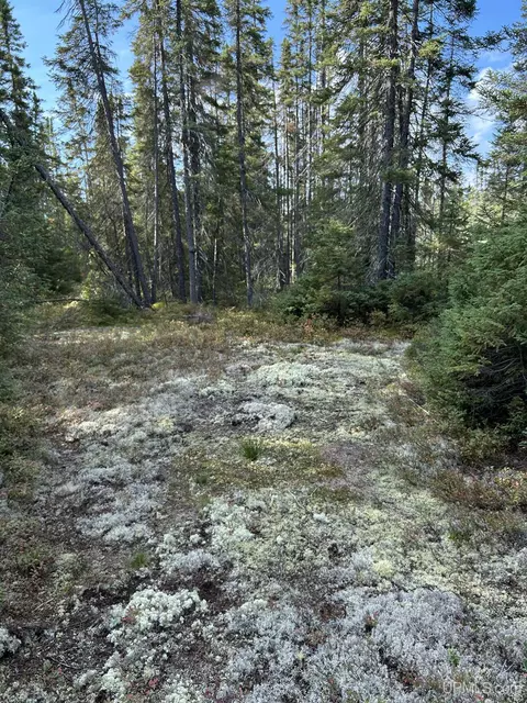 200 Acres Cr 573, Ishpeming, MI 49849 photo 12