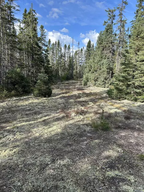 200 Acres Cr 573, Ishpeming, MI 49849 photo 10