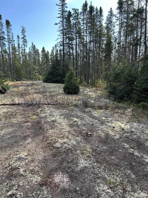 200 Acres Cr 573, Ishpeming, MI 49849 photo 11