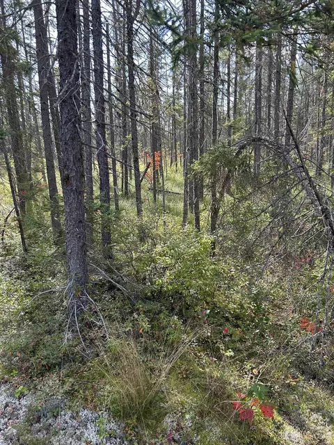 200 Acres Cr 573, Ishpeming, MI 49849 photo 13