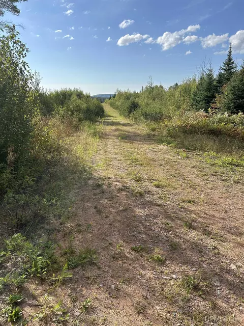 200 Acres Cr 573, Ishpeming, MI 49849