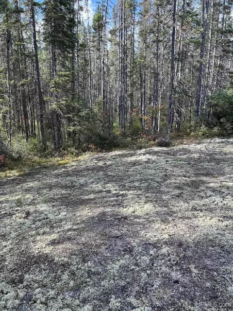 200 Acres Cr 573, Ishpeming, MI 49849 photo 9