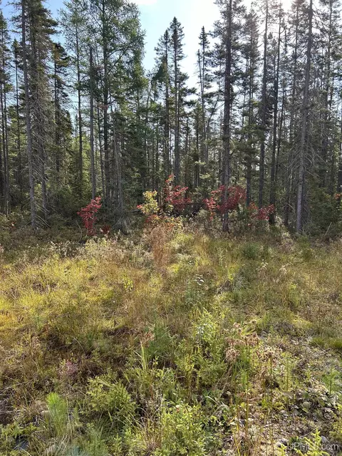 200 Acres Cr 573, Ishpeming, MI 49849 photo 4