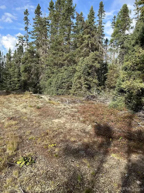 200 Acres Cr 573, Ishpeming, MI 49849 photo 8