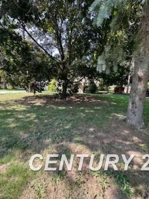 8175 Clio, Mount Morris, MI 48458 photo 9