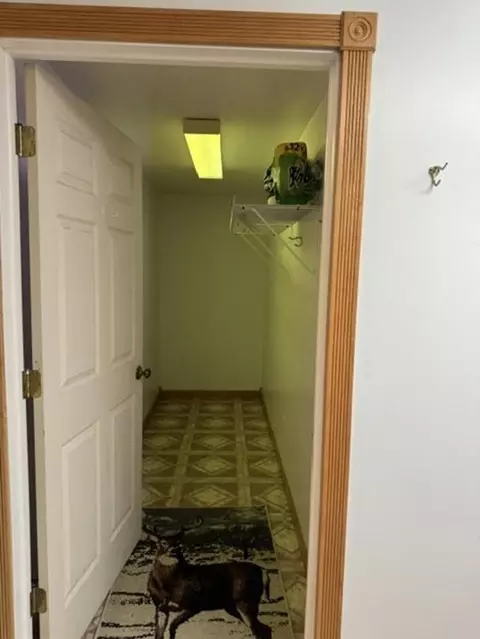 Entry Way - 650 Wilson, Mount Morris, MI 48458 photo 3 of 3