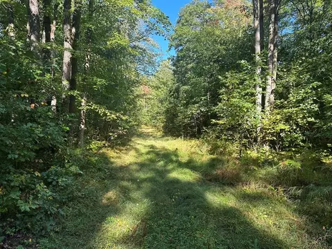 Undisclosed, Harrison, MI 48625