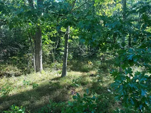 Undisclosed, Harrison, MI 48625 photo 2